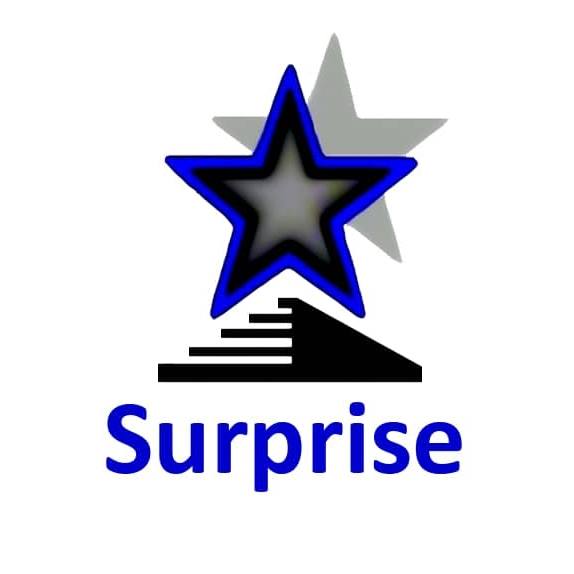 Service Surprise, entreprise partenaire Events-ERP